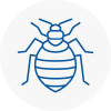 Bed Bug Extermination In Dodworth
