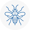 Dodworth Hornet Nest Removals