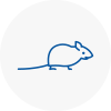Mice Exterminators In Dodworth