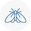 Moth Control Specialists In Dodworth