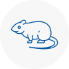 Rat Control Dodworth