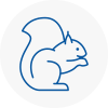 Dodworth Rodent Removals
