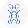 Dodworth Wasp Nest Removal
